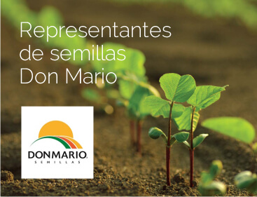 Representantes de semillas Don Mario